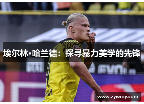 埃尔林·哈兰德：探寻暴力美学的先锋